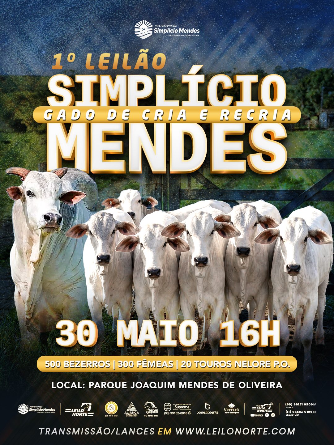 Simplício Mendes
